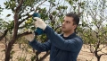 PRO Pro Pruner image 5