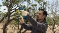 PRO Pro Pruner image 10
