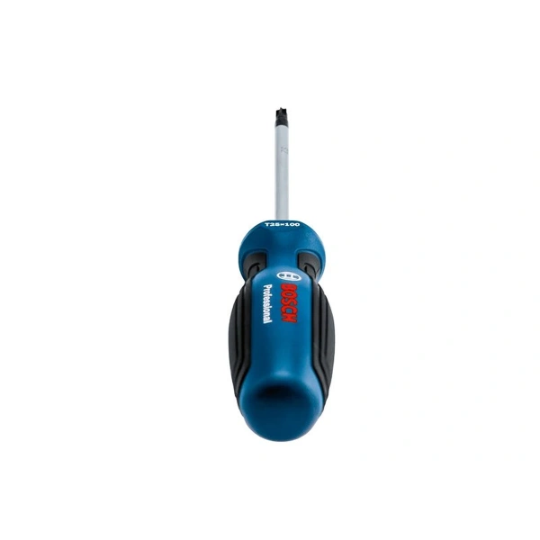 Screwdriver TX25x100 Professional