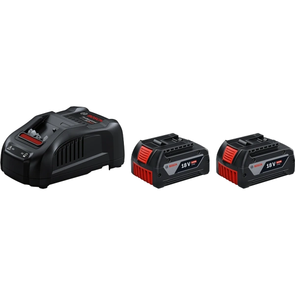 2 x GBA 18V 5.0Ah + GAL 1880 CV Professional