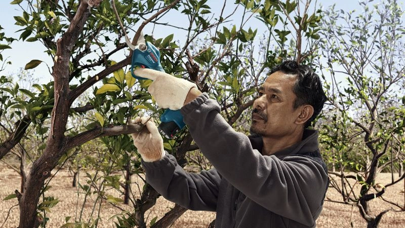 PRO Pro Pruner image 10