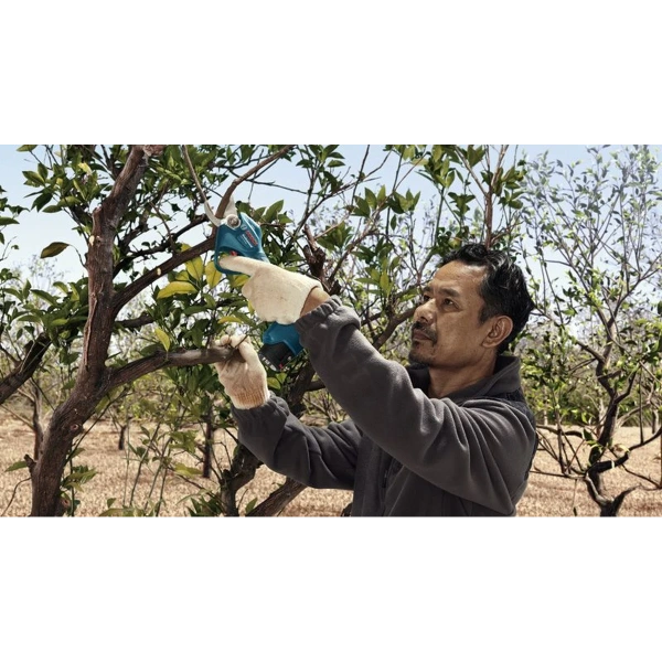 Pro Pruner Professional image 6